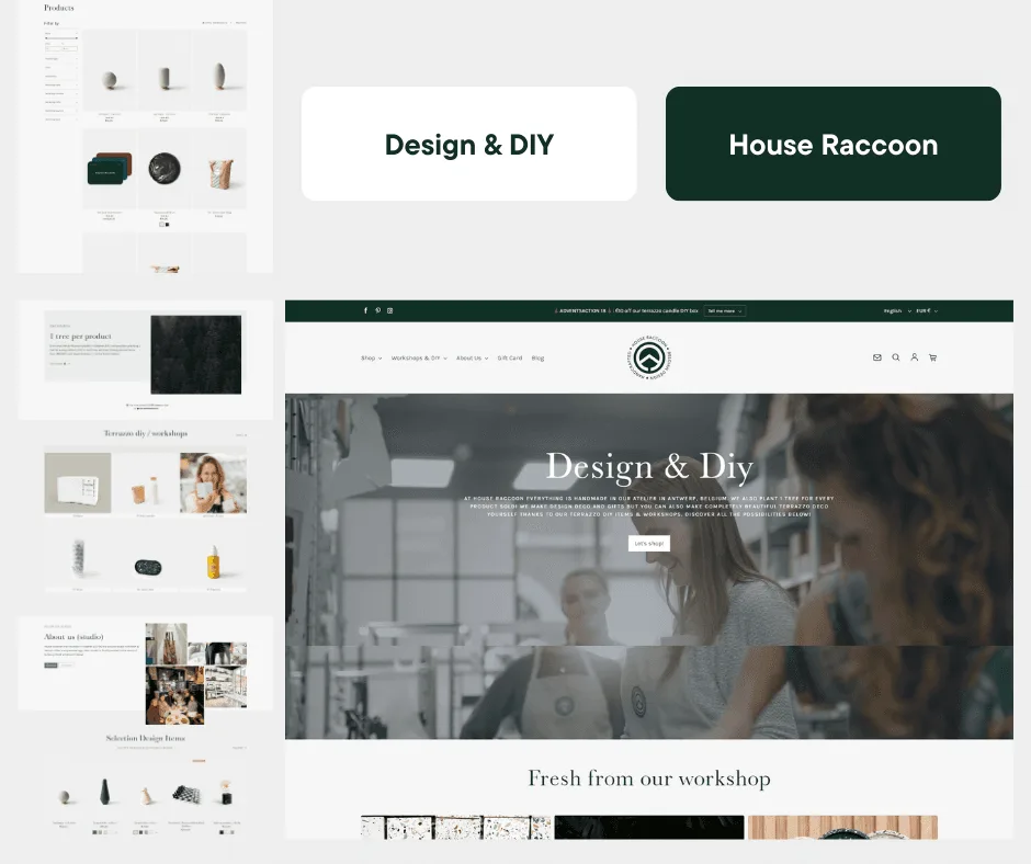 House Raccoon - Kevin Chandra